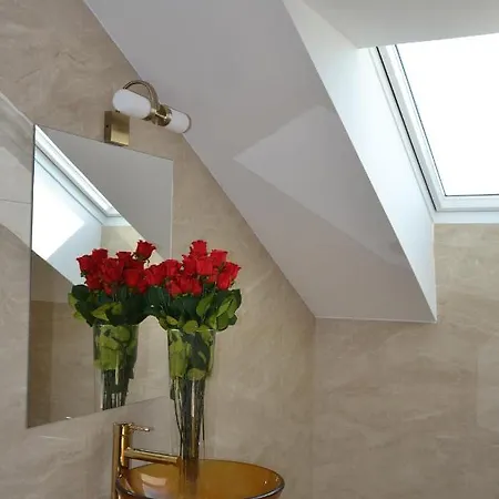 U Polanskych דירה לדניצה