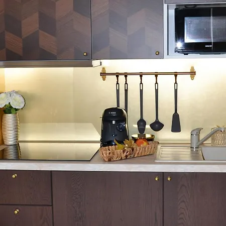 U Polanskych Apartment *