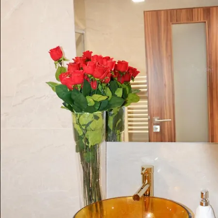 U Polanskych Apartment *