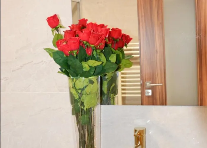 U Polanskych Apartment *
